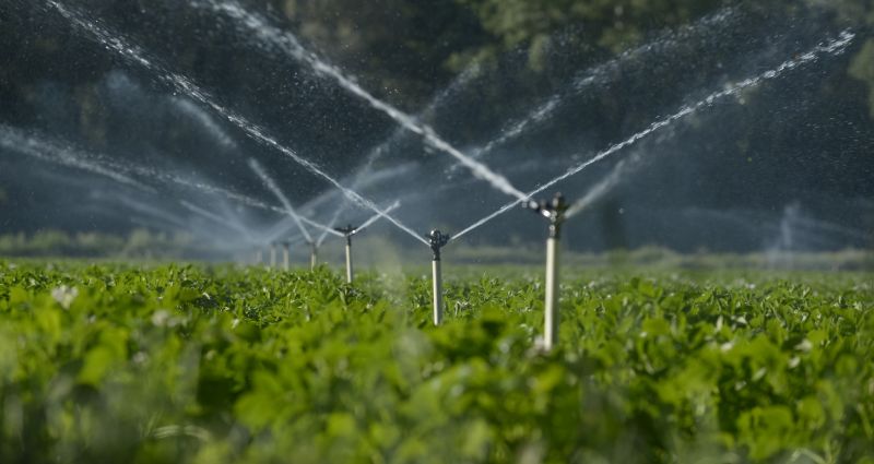 Irrigation System Experts