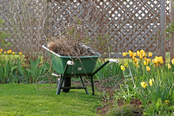 Flower Bed Cleanup Service in Arroyo Grande