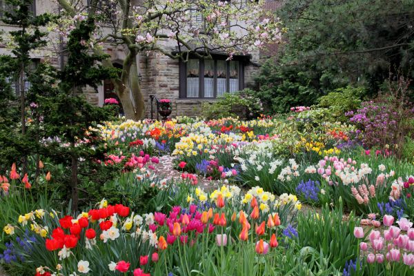 Garden Maintenance Service in Arroyo Grande