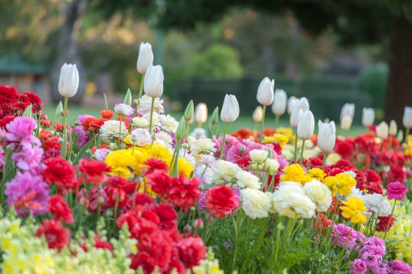Gardening Service in Arroyo Grande