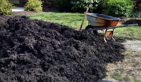 Black Mulch Delivery in Arroyo Grande