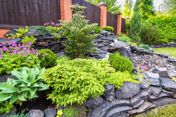 Landscape Remodeling in Arroyo Grande