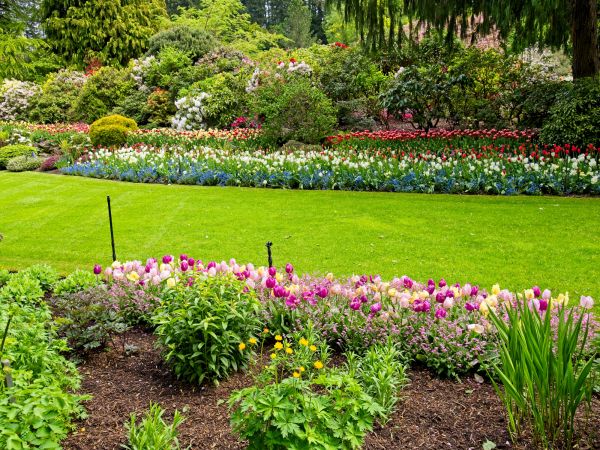 Residential Landscape Design in Arroyo Grande