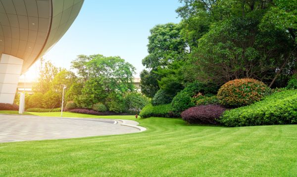Business Landscape Design in Arroyo Grande