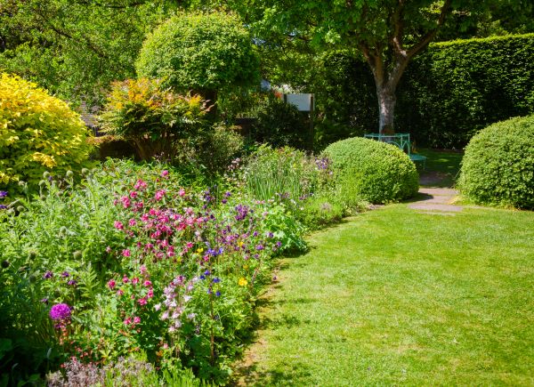 Yard Landscaping Service in Arroyo Grande