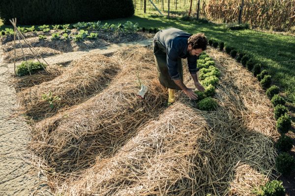Straw Mulching Service in Arroyo Grande