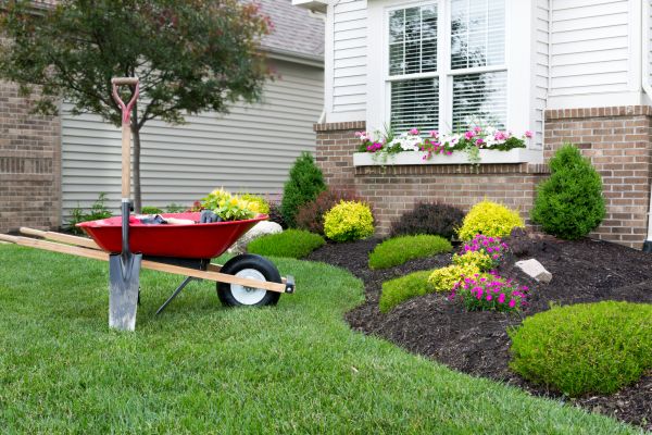Tree And Shrub Planting in Arroyo Grande