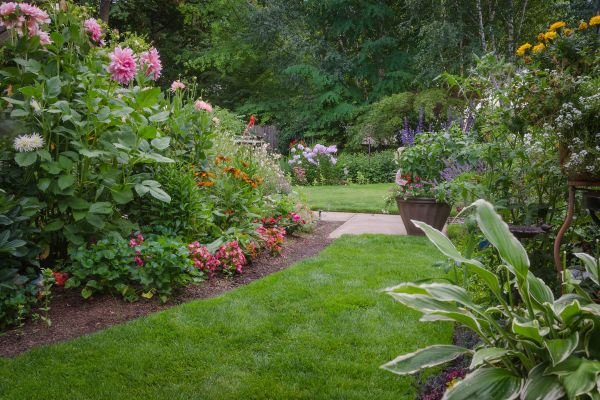 Backyard Overhaul Service