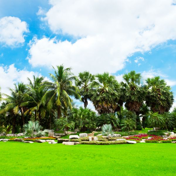 Tropical Landscaping in Arroyo Grande