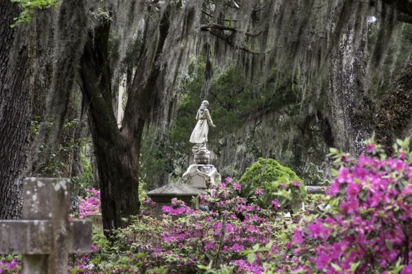 Cemetery Landscaping in Arroyo Grande