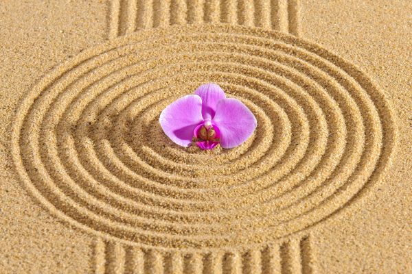Sand Garden Landscaping in Arroyo Grande