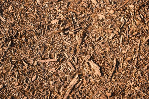Wood Chips Removal in Arroyo Grande