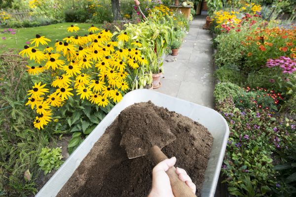 Topsoil Replacement in Arroyo Grande