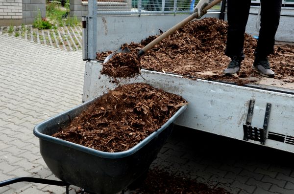 Cedar Mulch Delivery in Arroyo Grande