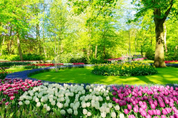 Flower Landscaping in Arroyo Grande