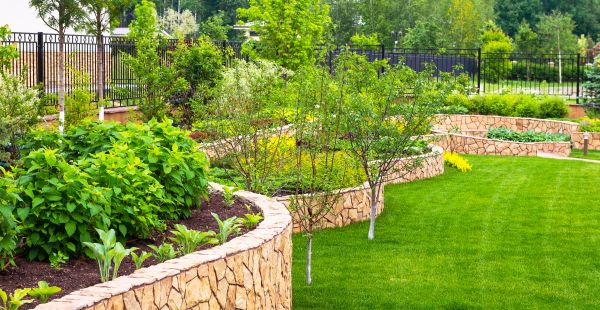 Yard Makeover Service in Arroyo Grande