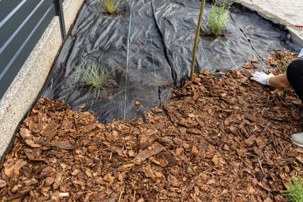 Pine Bark Spreading in Arroyo Grande