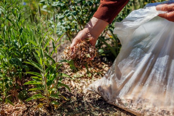 Wood Mulch Installation in Arroyo Grande