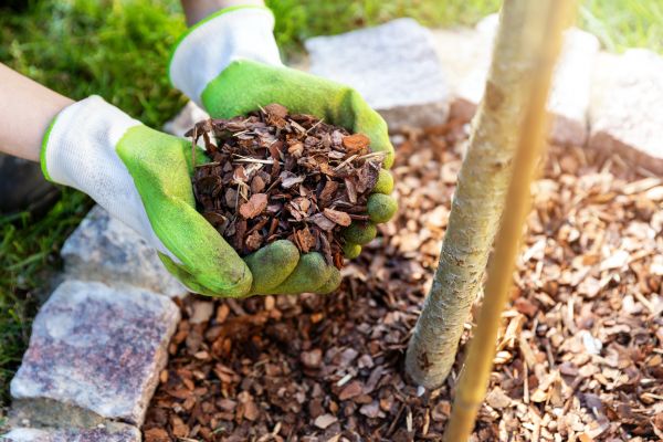 Tree Bark Delivery in Arroyo Grande