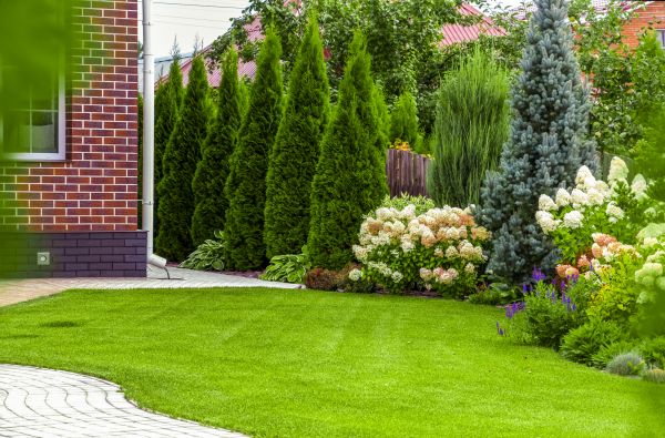 Spring Landscaping in Arroyo Grande