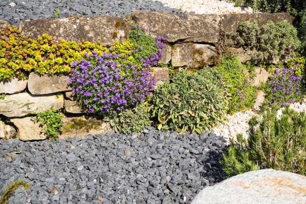 Landscaping Rocks Installation in Arroyo Grande