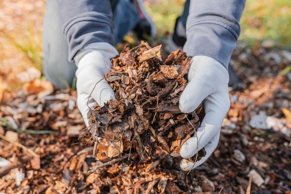 Shredded Mulch Installation in Arroyo Grande
