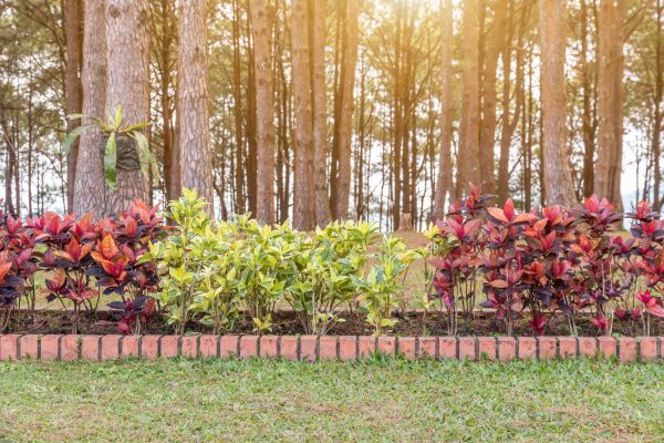 Small Garden Landscaping in Arroyo Grande
