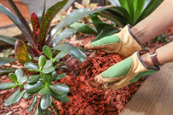 Cedar Mulch Installation
