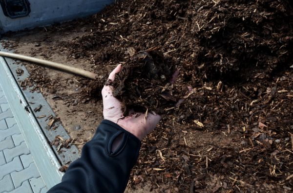 Condo Mulching in Arroyo Grande